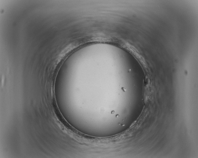 X0000064750011200602171745