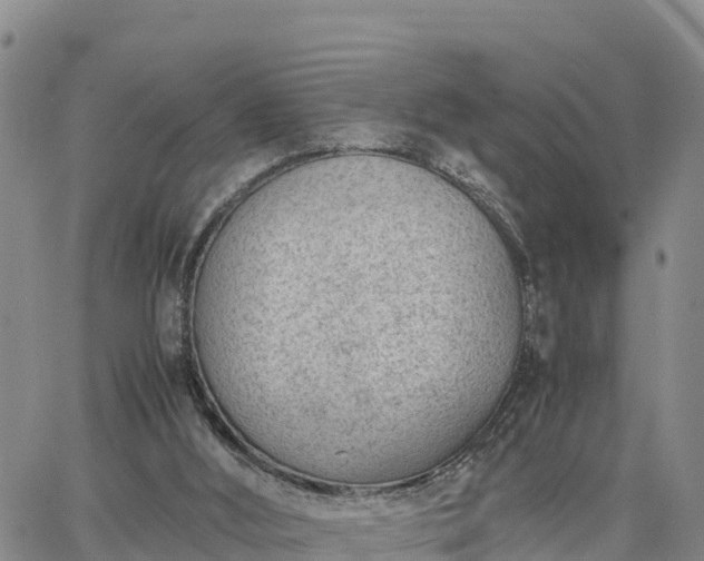 X0000064750012200602171745