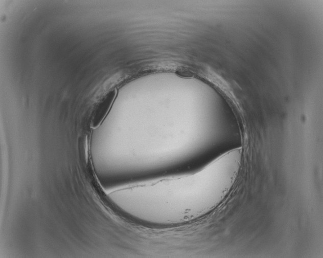 X0000064750013200602171745