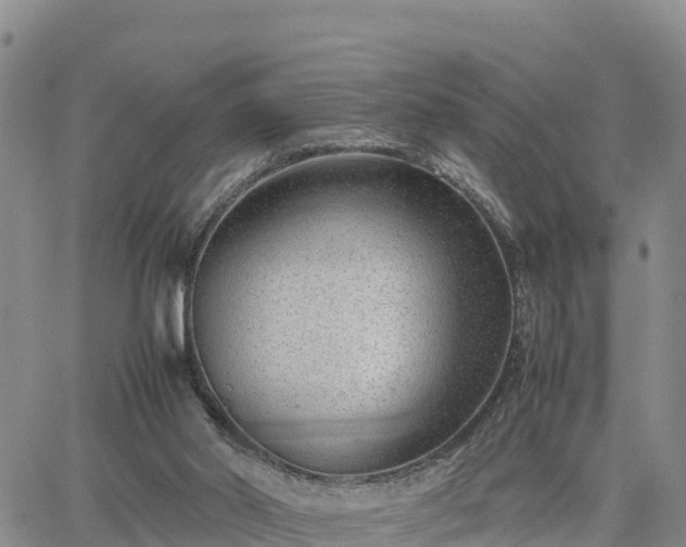 X0000064750014200602171745