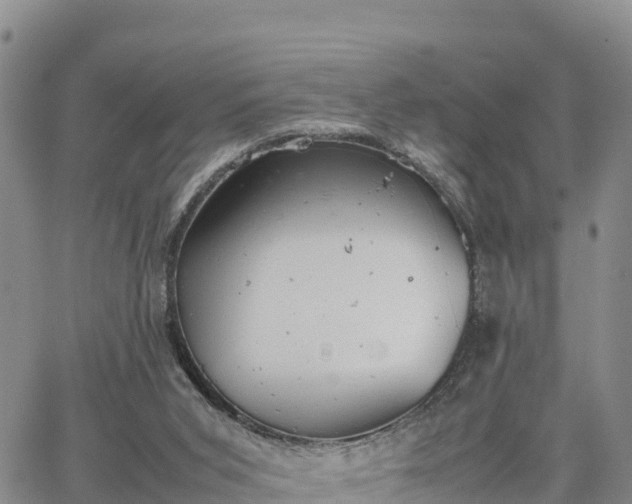 X0000064750015200602171745