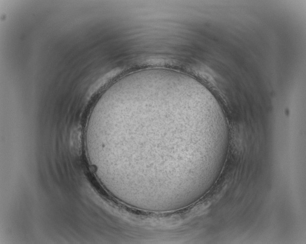 X0000064750016200602171745