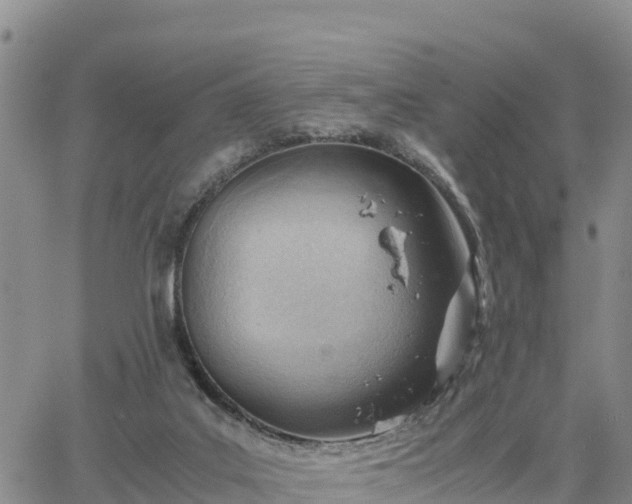 X0000064750019200602171745