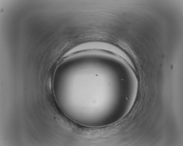 X0000064750021200602171745