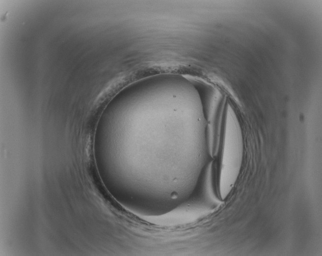 X0000064750023200602171745