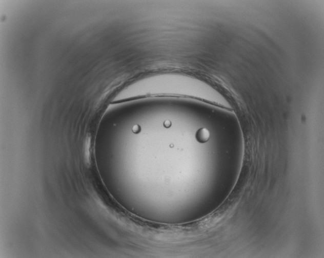 X0000064750024200602171745