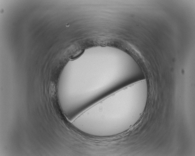 X0000064750025200602171744