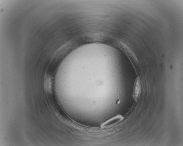 X0000064750026200602171744