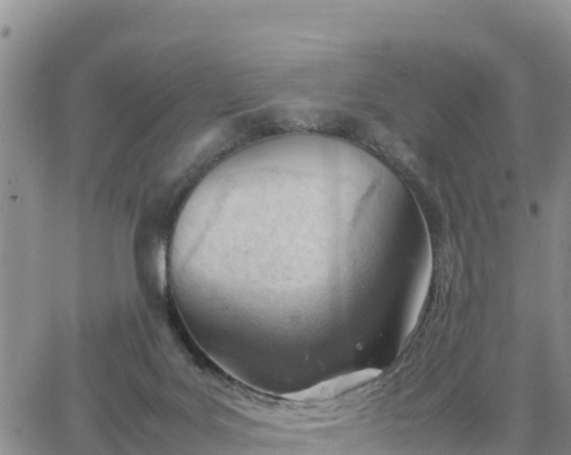 X0000064750027200602171744