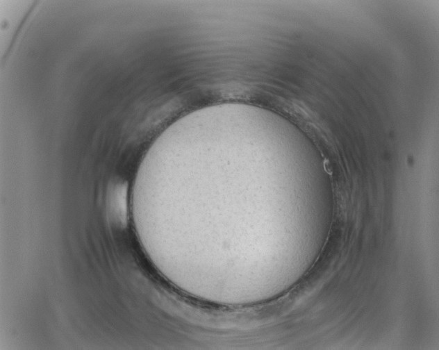 X0000064750028200602171744