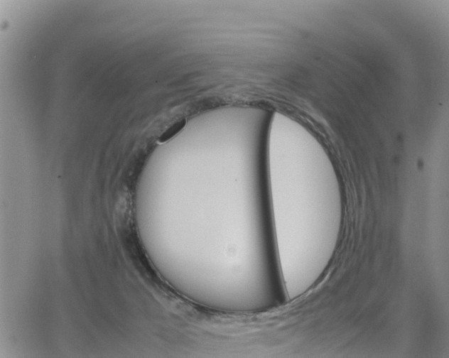 X0000064750029200602171744