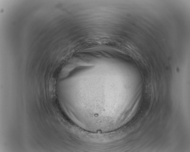 X0000064750030200602171744