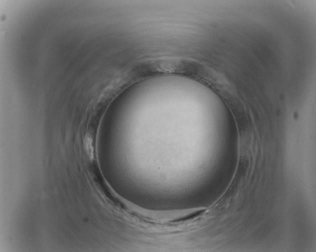 X0000064750031200602171744