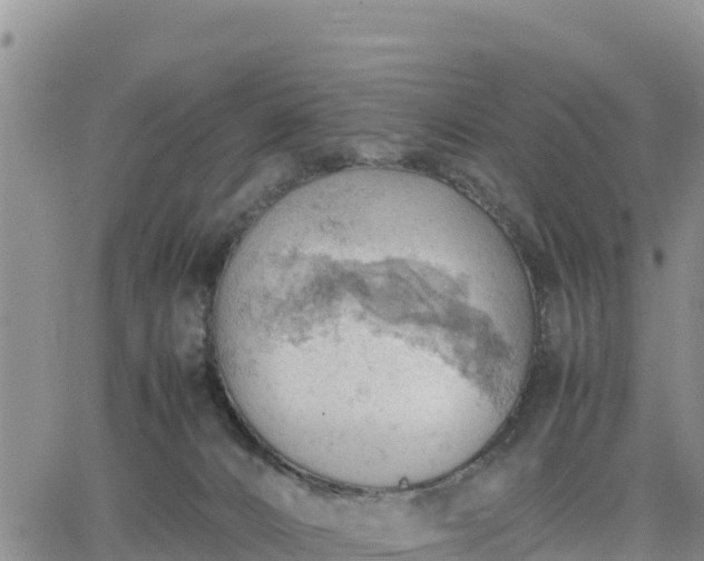 X0000064750032200602171744