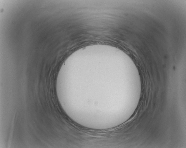 X0000064750033200602171744