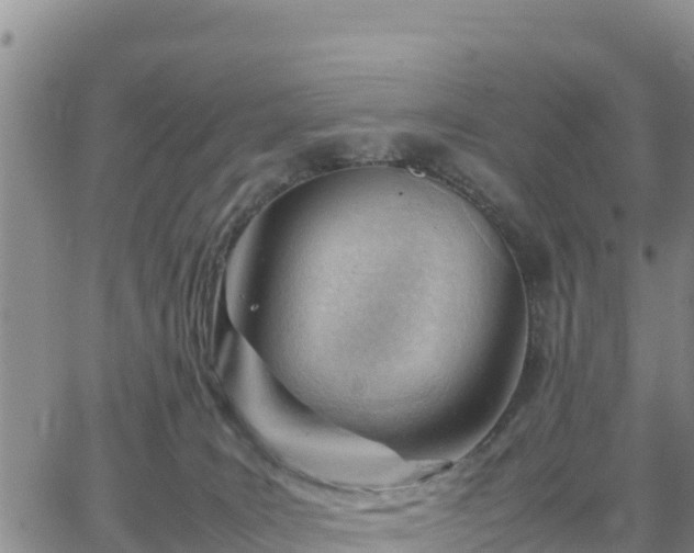 X0000064750035200602171744