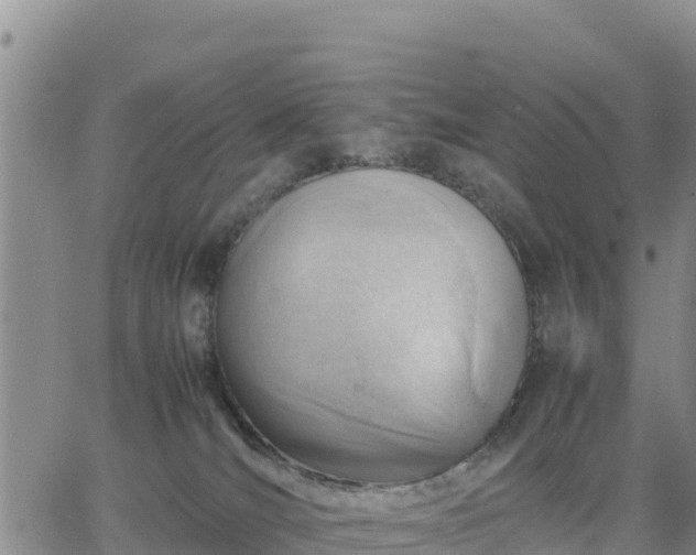 X0000064750036200602171744