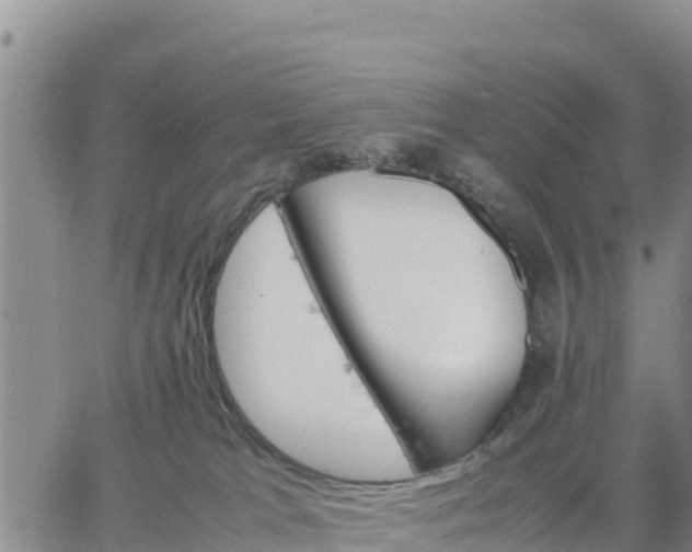 X0000064750037200602171744