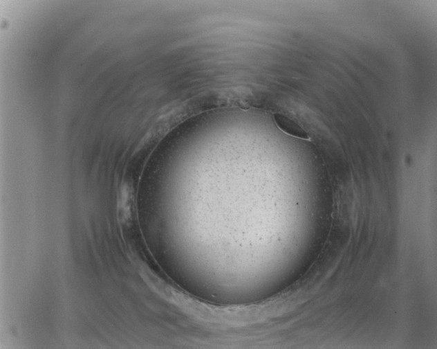 X0000064750038200602171744