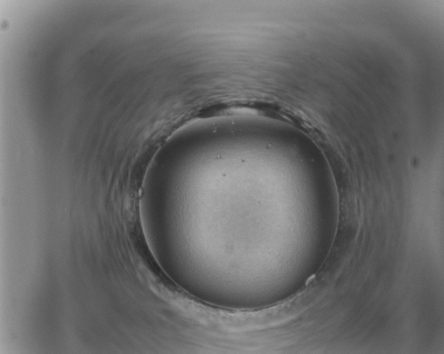 X0000064750039200602171744