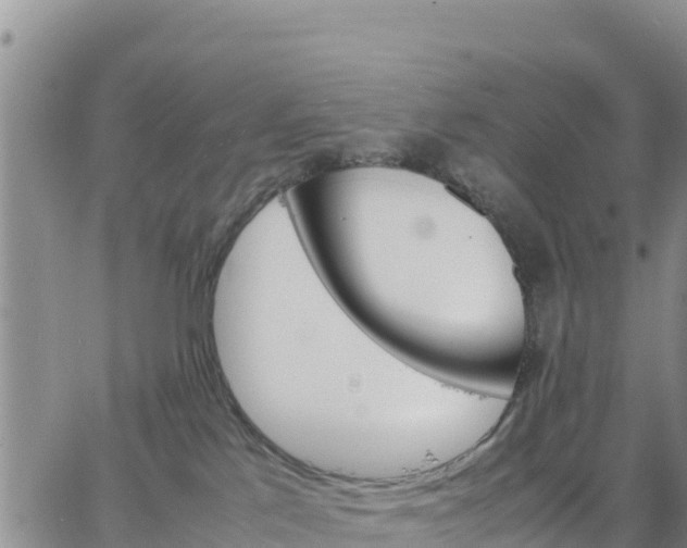 X0000064750041200602171744