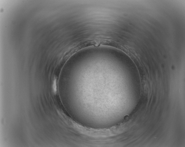 X0000064750042200602171744