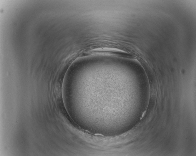 X0000064750043200602171744