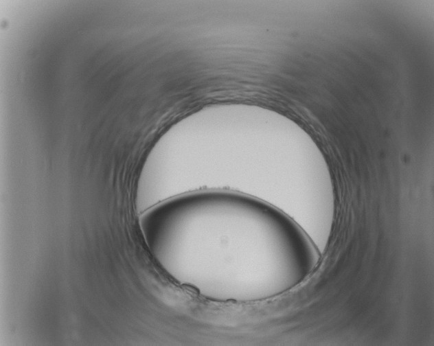 X0000064750045200602171744