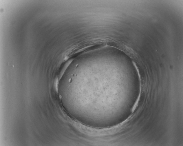 X0000064750047200602171744