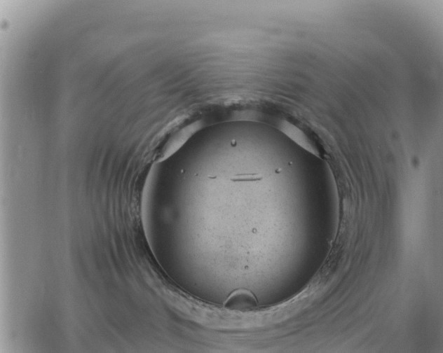 X0000064750048200602171744