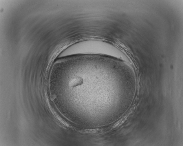 X0000064750049200602171743