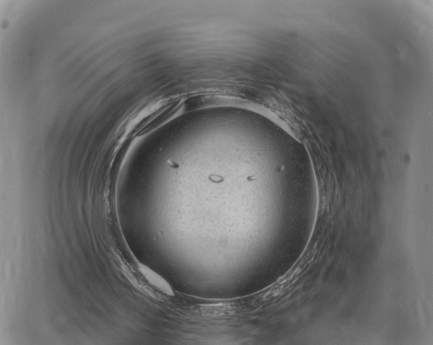 X0000064750050200602171743