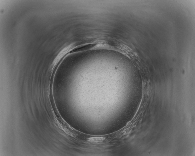 X0000064750051200602171743