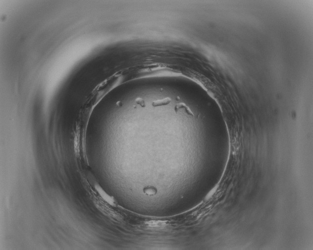 X0000064750052200602171743