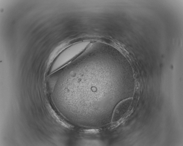 X0000064750053200602171743