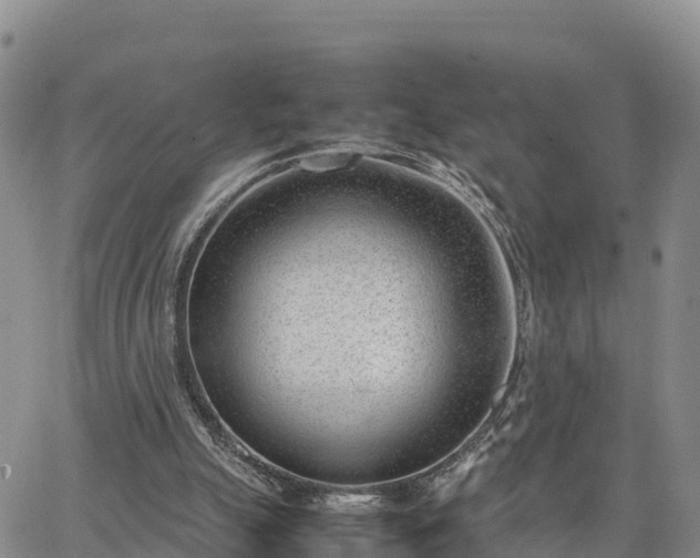 X0000064750055200602171743