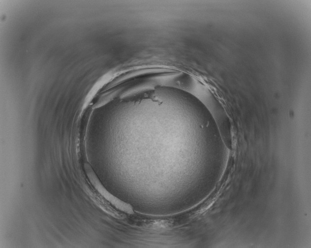 X0000064750056200602171743