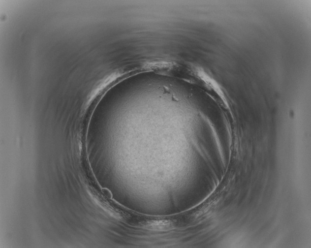 X0000064750059200602171743