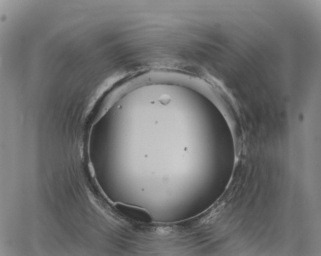 X0000064750060200602171744