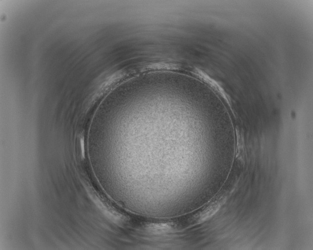 X0000064750061200602171744