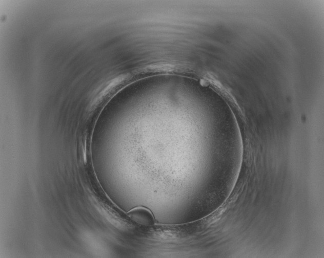 X0000064750062200602171744