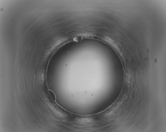 X0000064750063200602171744