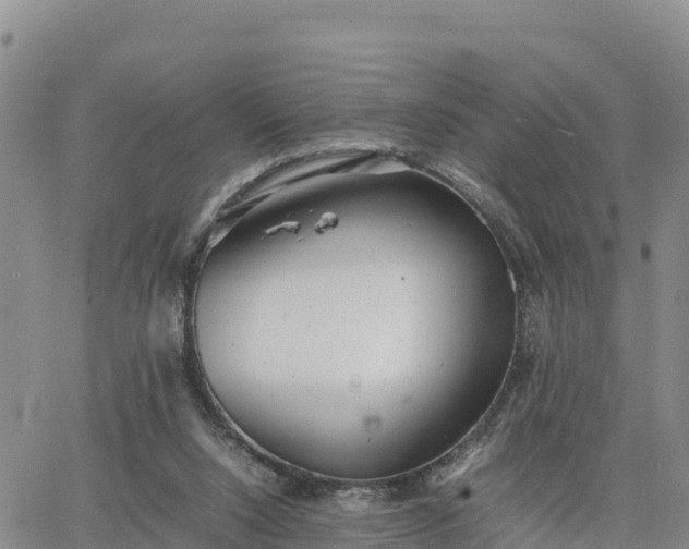 X0000064750064200602171744