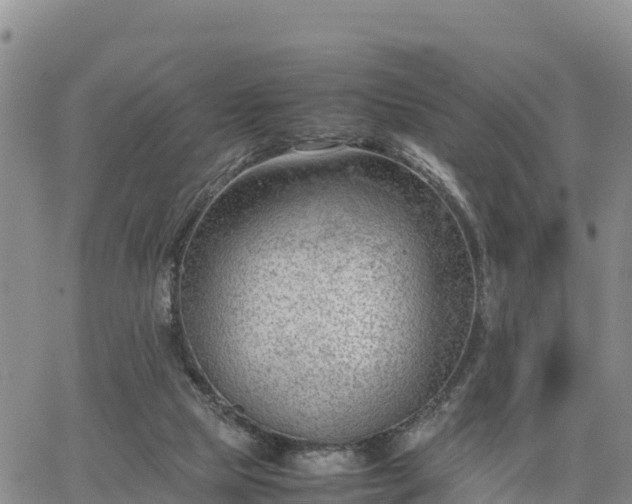 X0000064750065200602171744