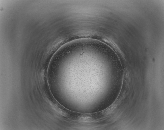 X0000064750066200602171744