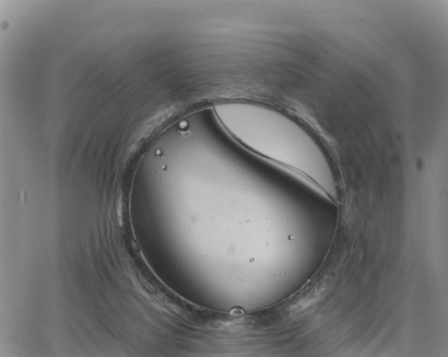 X0000064750068200602171744