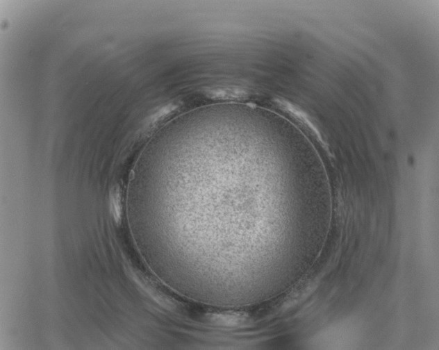 X0000064750069200602171744