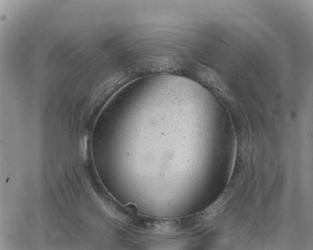 X0000064750070200602171744