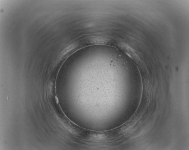 X0000064750071200602171744