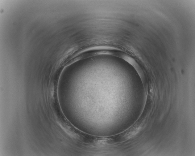 X0000064750072200602171744